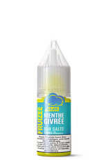 ELiquid France Fruizee Max - Frosted Mint – Bar Salts –  10 ml