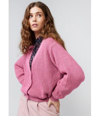 Freebird Parker Cardigan