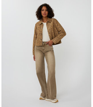 Esqualo Esqualo Jacket Leopard Golden Olive