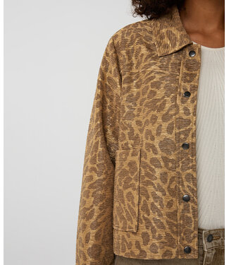 Esqualo Esqualo Jacket Leopard Golden Olive Esqualo Esqualo Jacket Leopard Golden Olive