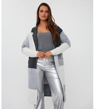 Esqualo Esqualo Cardigan long blocks Grey