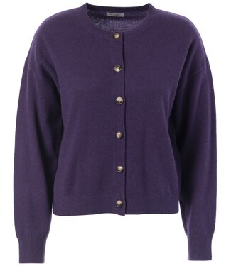 JcSophie JcSophie Korea cardigan Dark blue