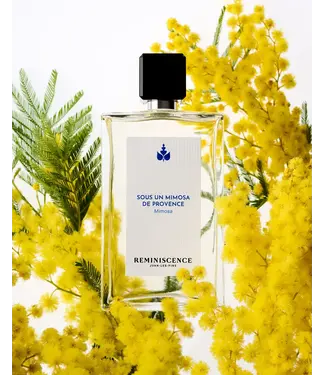 Reminiscence LA MEDITERRANEE - MEDITERRANEAN SEA - REM SOUS UN MIMOSA D.PROV EDT 100ML