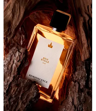 Reminiscence LE VOYAGE - THE VOYAGE - REM BOIS ETOILE OUD EDP 100ML
