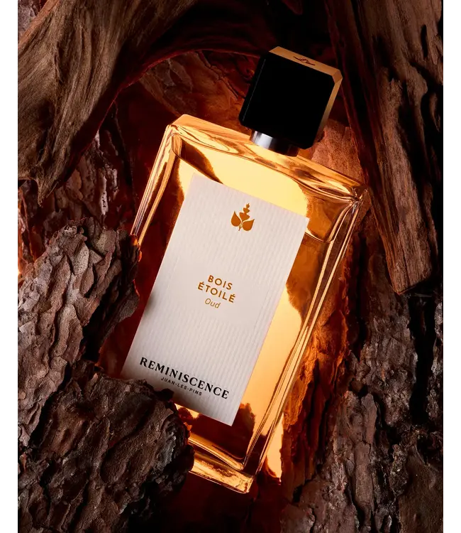 Reminiscence LE VOYAGE - THE VOYAGE - REM BOIS ETOILE OUD EDP 100ML