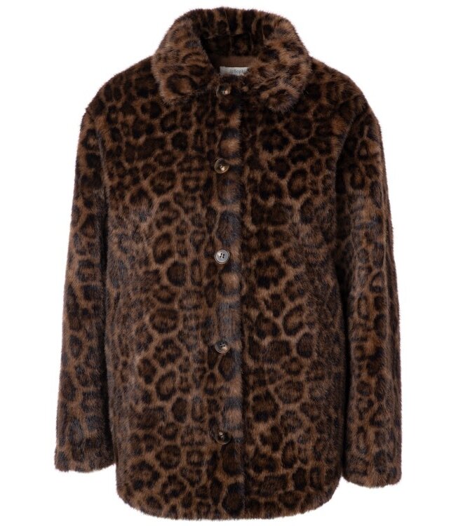 JcSophie Pistache jacket