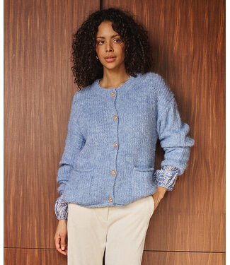 Esqualo Cardigan fancy buttons - Dark Sky Blue