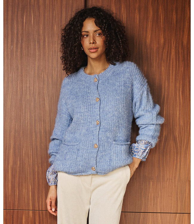 Esqualo Cardigan fancy buttons - Dark Sky Blue