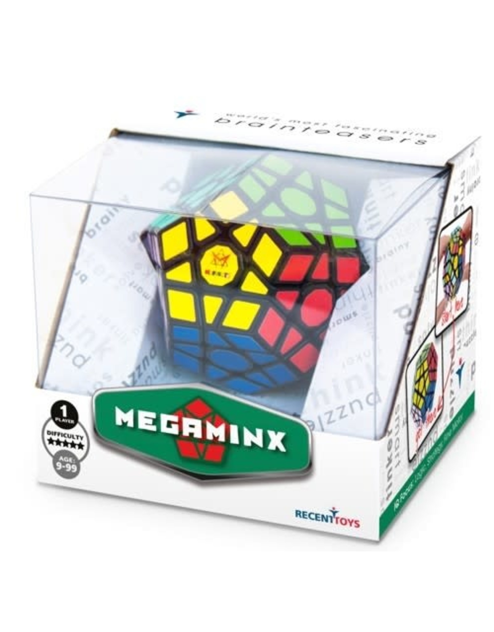 Recent Toys Megaminx Brainpuzzel