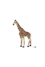 Papo Giraffe (Papo 50096)