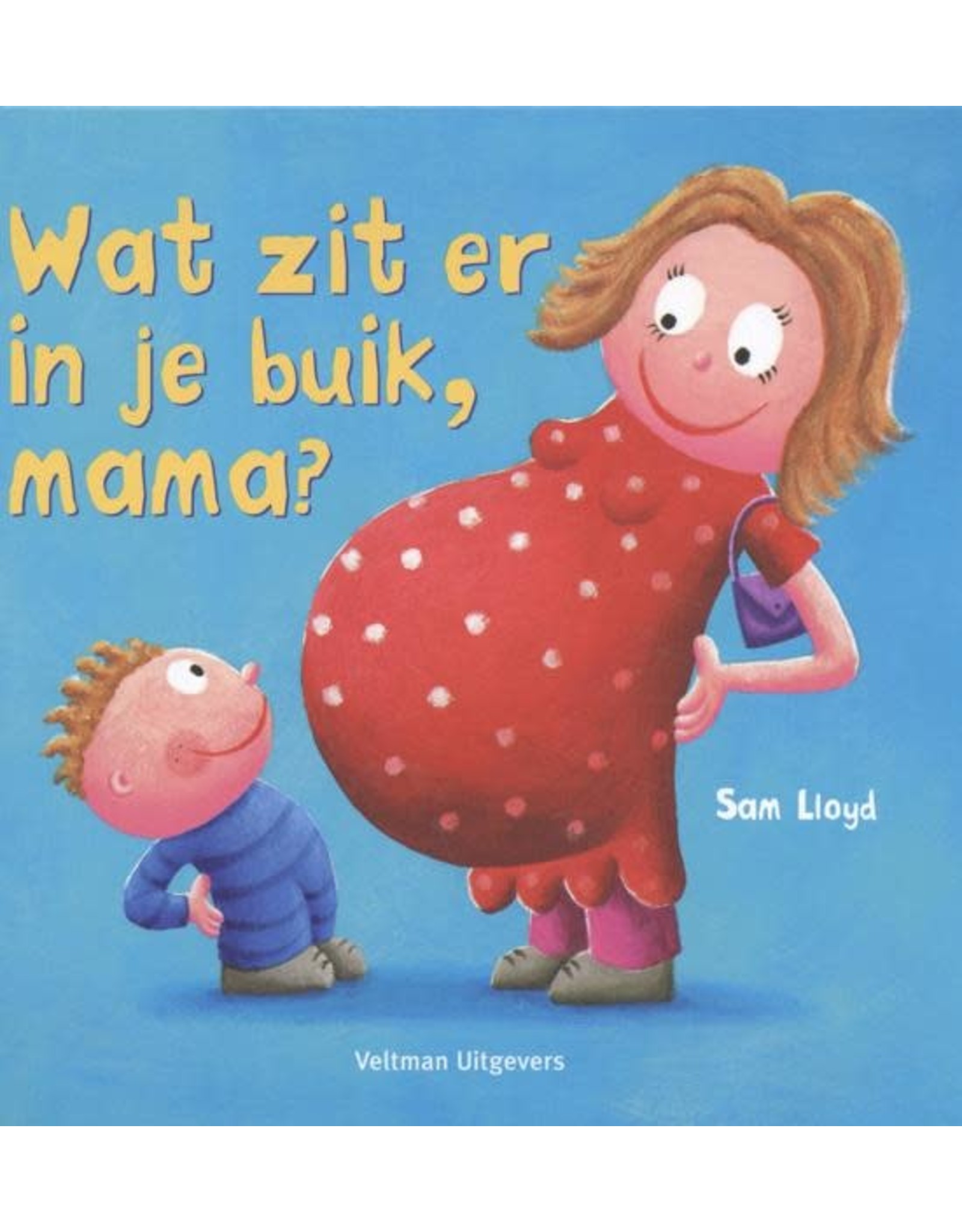 Wat zit er in je buik, mama? flapjesboek