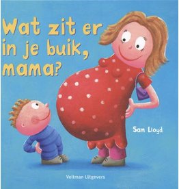 Wat zit er in je buik, mama? flapjesboek