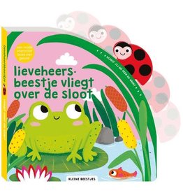 Kleine beestjes - Lieveheersbeestje