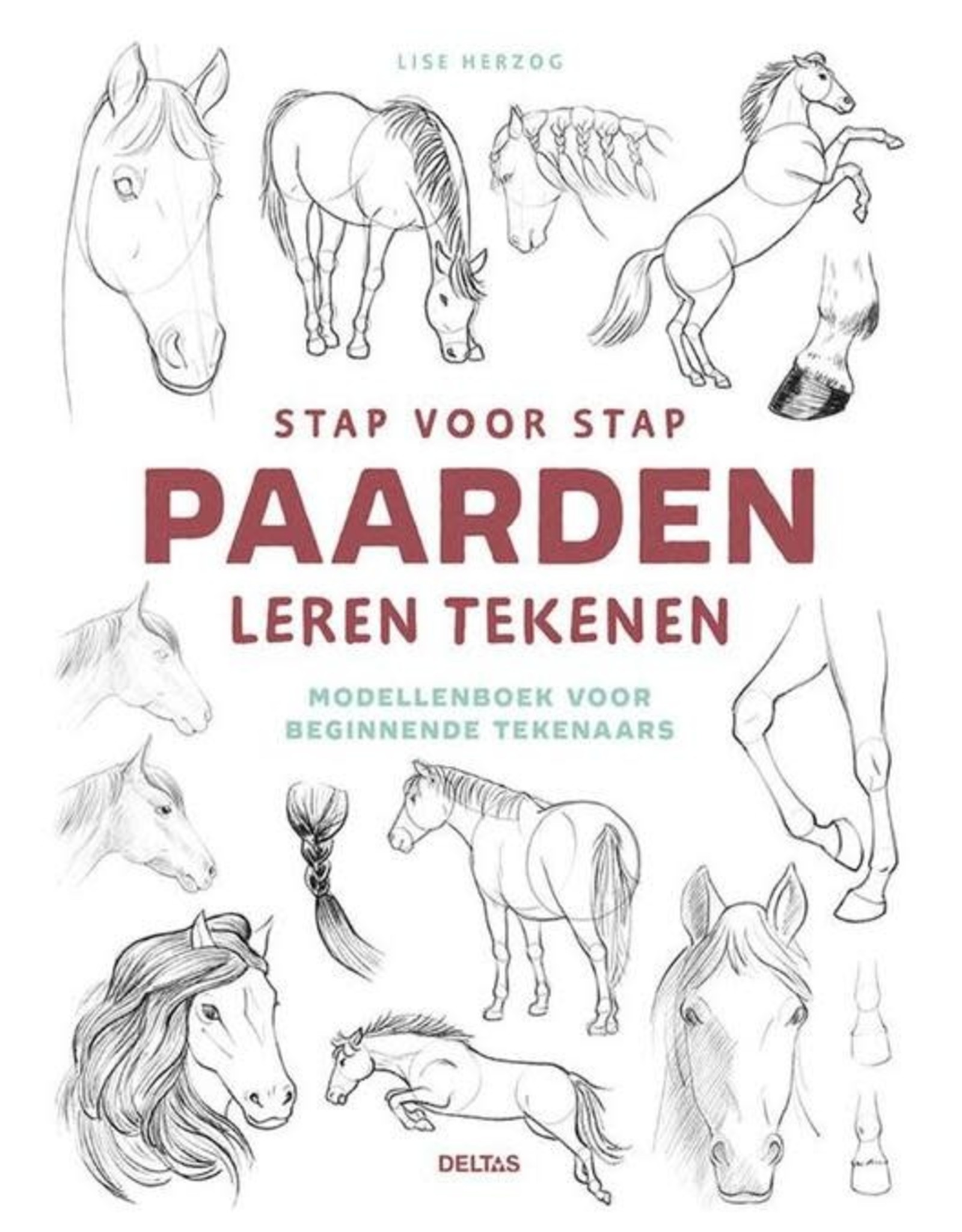Deltas Stap voor stap PAARDEN leren tekenen