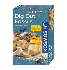 Dig Out Fossils