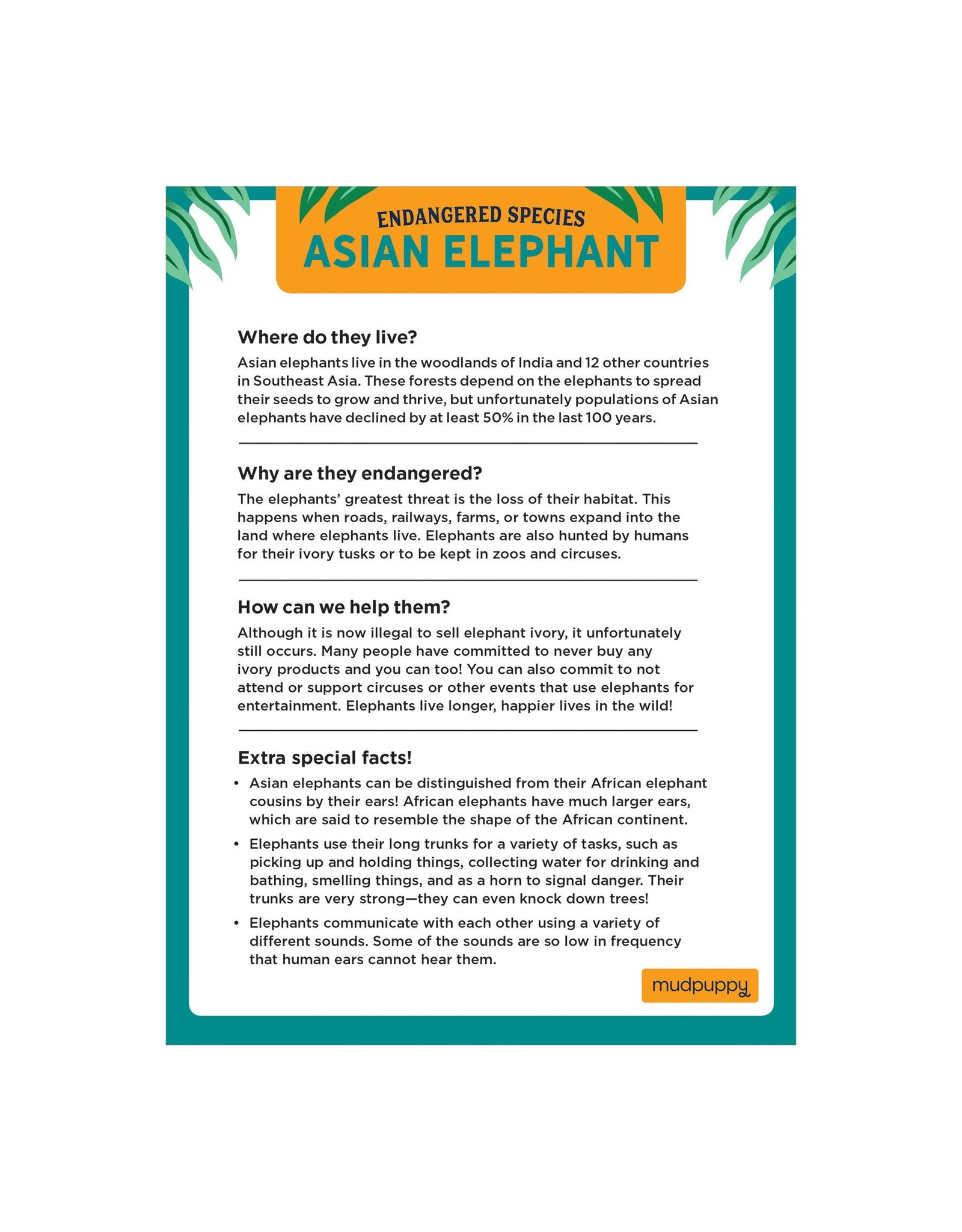 Mudpuppy Endangered Species Puzzle "Asian Elephants"