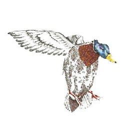 Doodleicious Art "Flying Mallard"