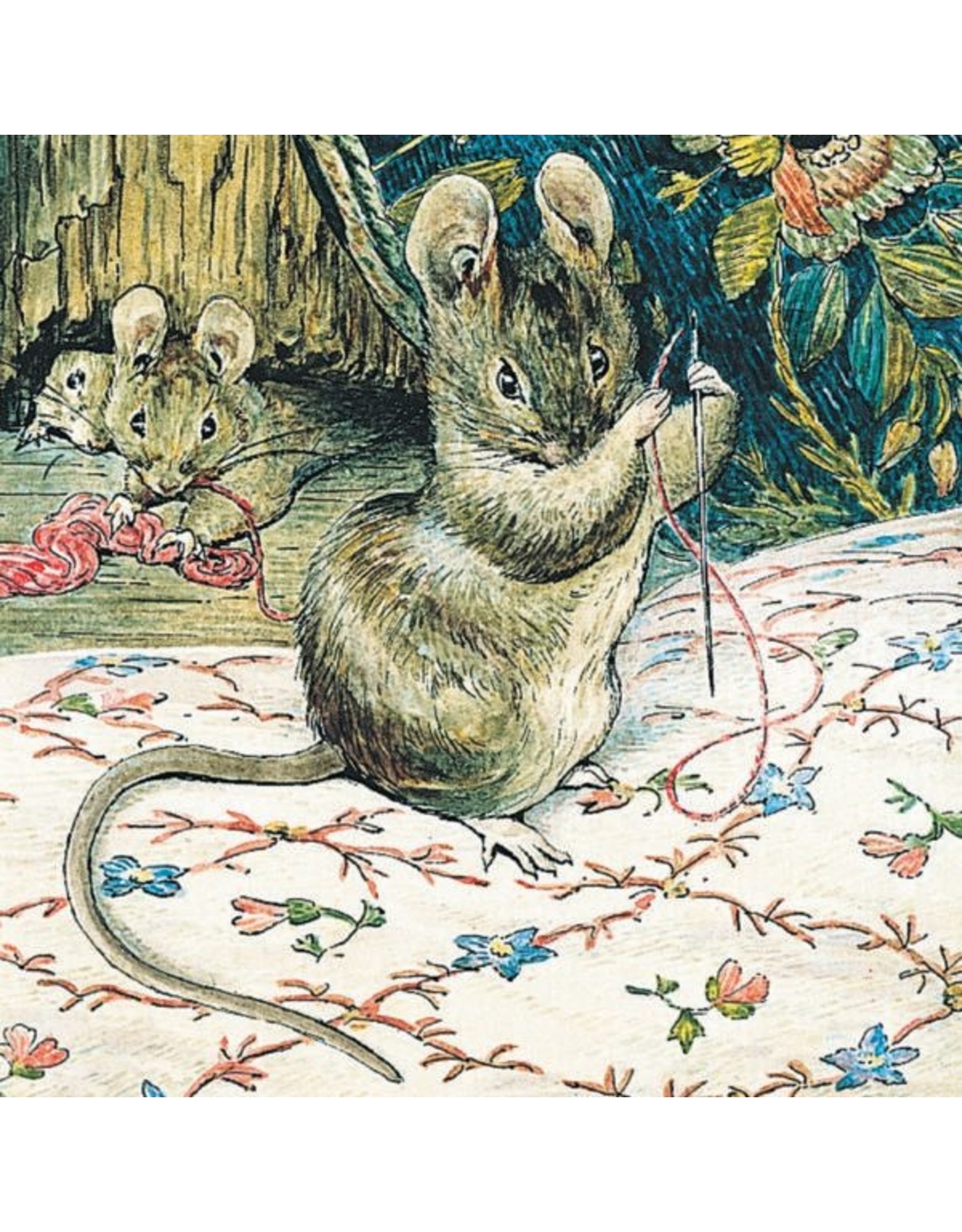 a hype card Beatrix Potter BX35