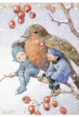 a hype card Fairyland FX 001 a hype card Fairyland FX 001