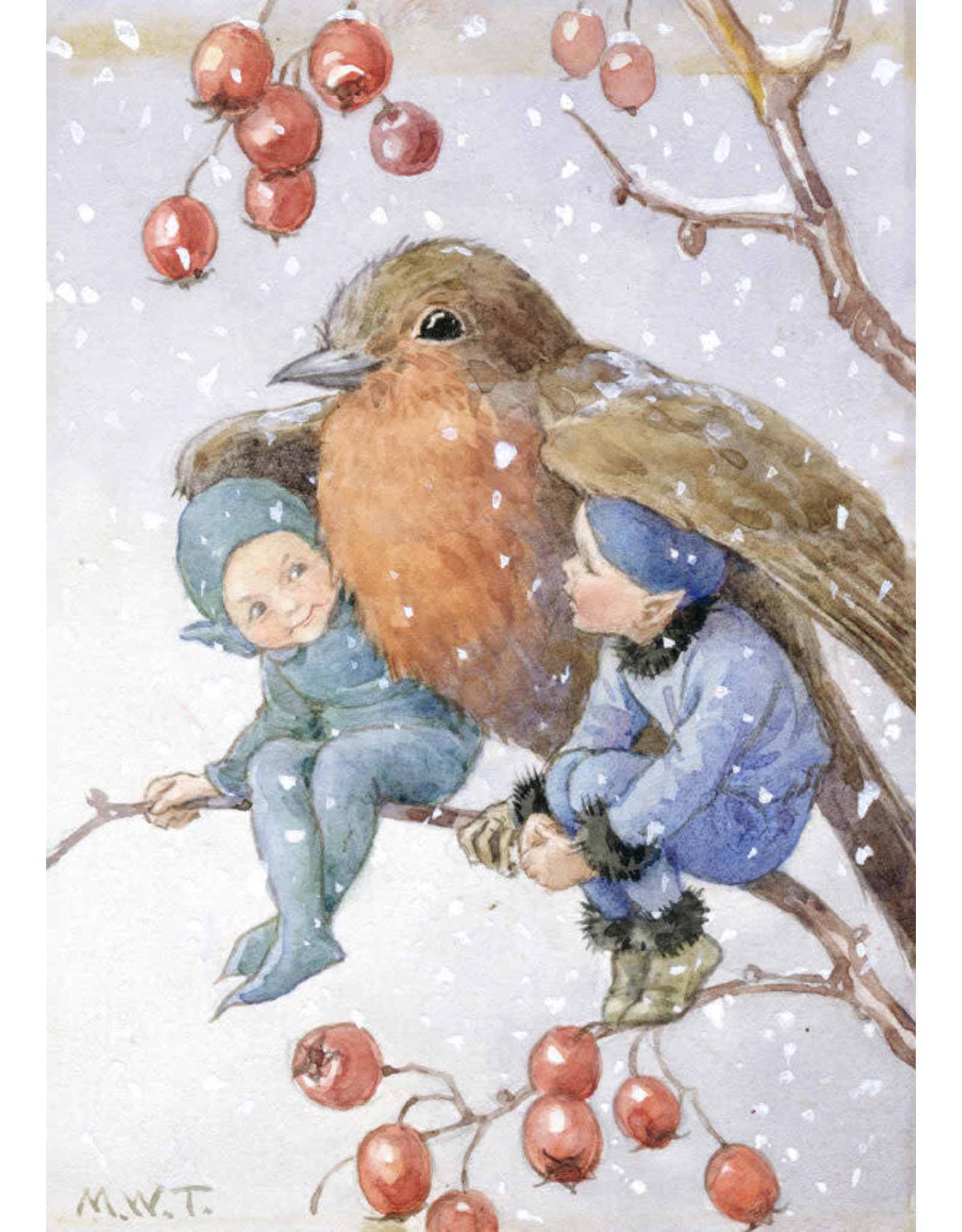 a hype card Fairyland FX 001