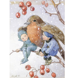 a hype card Fairyland FX 001