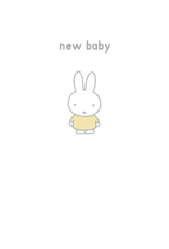 Hype Cards Miffy 027 “new baby”