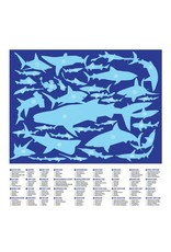 Crocodile Creek Canister Puzzle "36 Sharks" Crocodile Creek