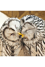 Woodmansterne giving nature a home "Ural Owls"