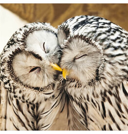 Woodmansterne giving nature a home "Ural Owls"