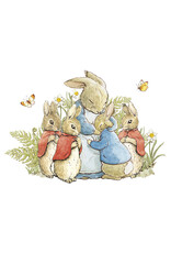 a hype card Beatrix Potter BX45 a hype card Beatrix Potter BX45