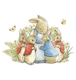 a hype card Beatrix Potter BX45