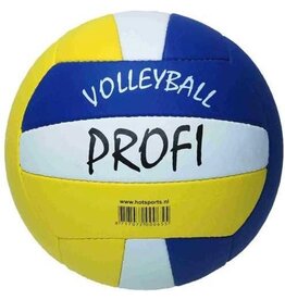 Volleyball Profi