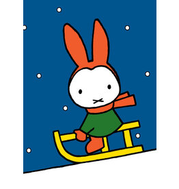 a hype card nijntje WK MIFFYX 001