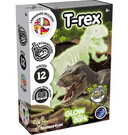 Excavation T-Rex Glow in the Dark