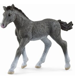 Schleich Trakehner Veulen (Schleich 13944)