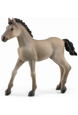 Schleich Criollo Definitivo Veulen (Schleich 13949)