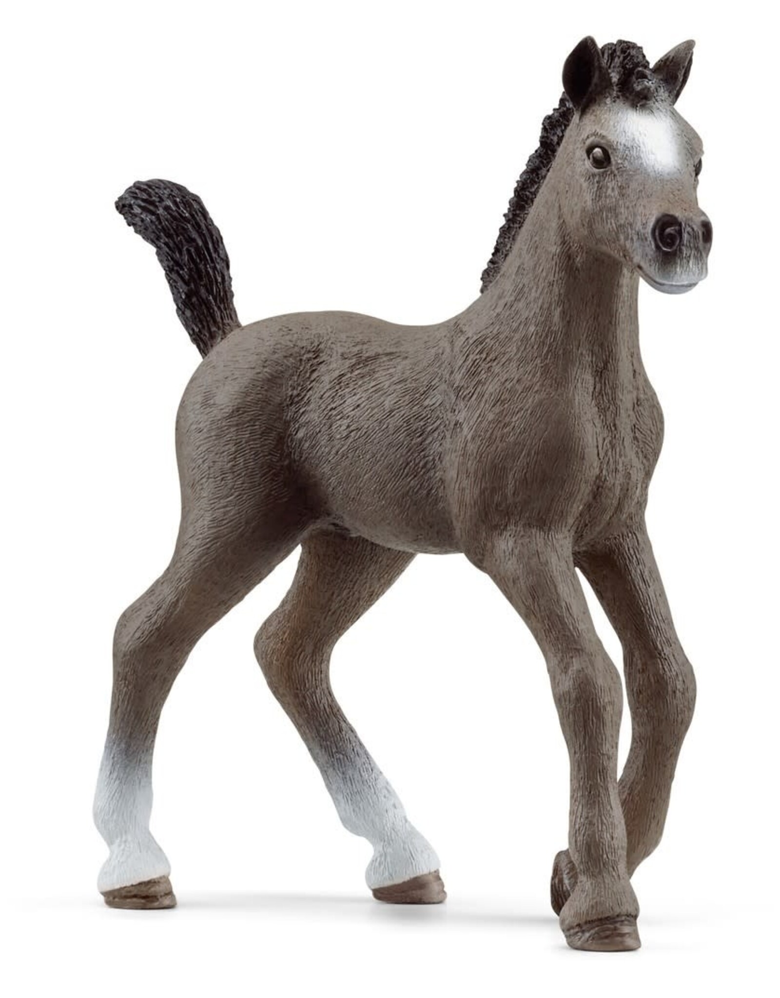 Schleich Selle Francais Veulen ( Schleich 13957)