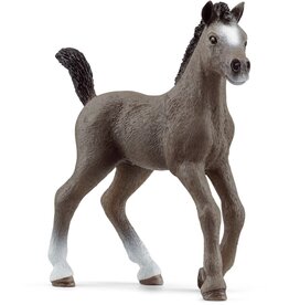 Schleich Selle Francais Veulen ( Schleich 13957)