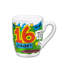 pd party Cartoonmok 16 Jaar