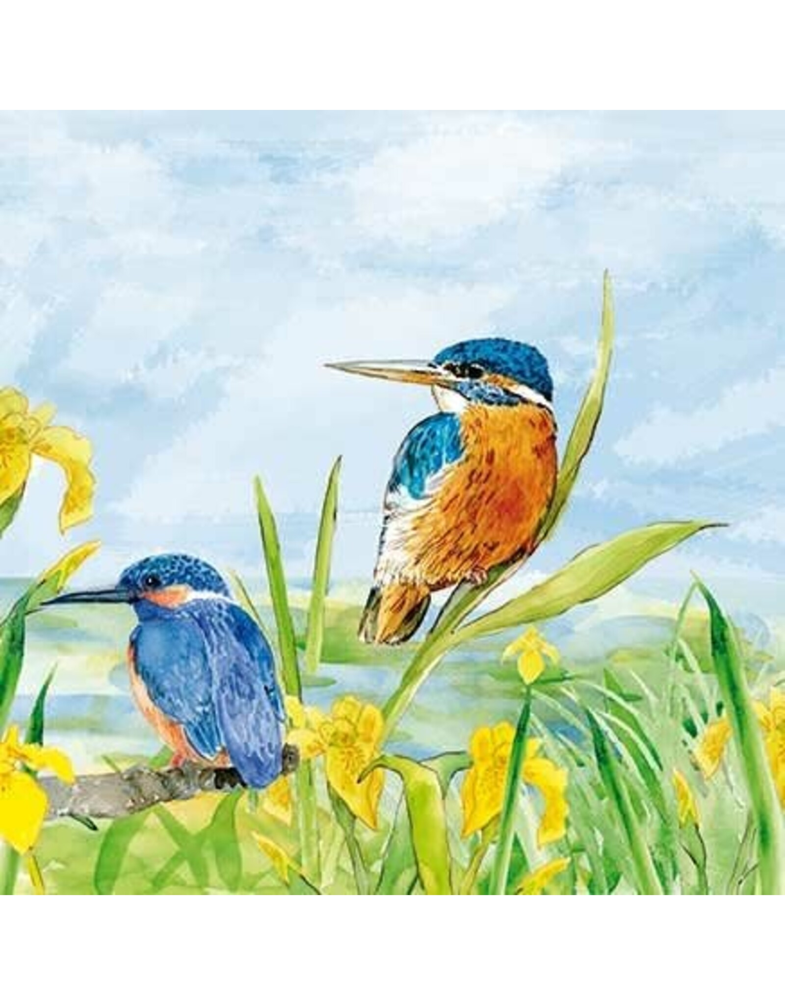 Animal Friends Animal Friends Card "Kingfisher"