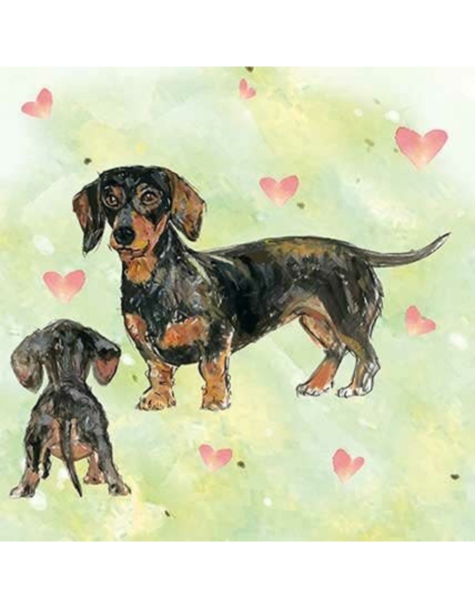 Animal Friends Animal Friends Card "Dachshund/Teckel"