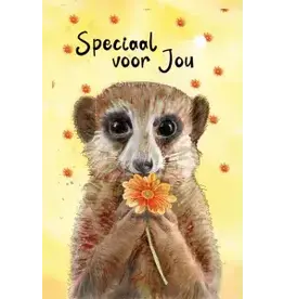 Animal Friends Speciaal voor Jou "Meerkat"