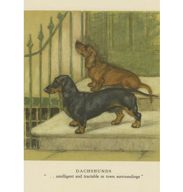 Madame Treacle Madame Treacle "On The Steps"