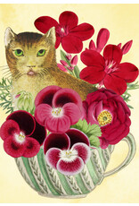 Madame Treacle Madame Treacle "Cat in a Teacup"