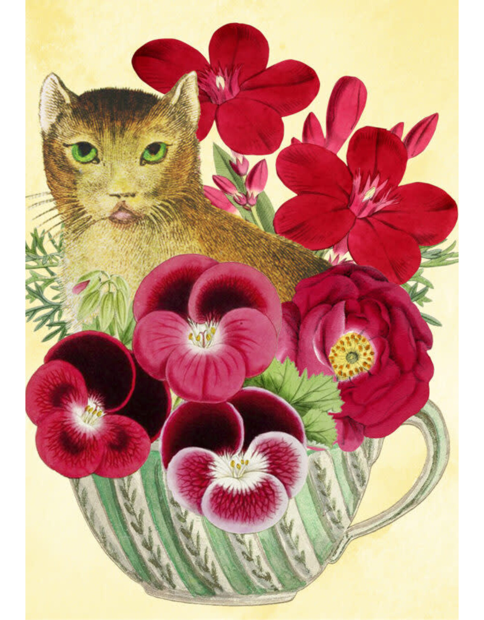 Madame Treacle Madame Treacle "Cat in a Teacup"