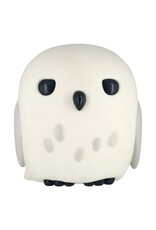 Hedwig Coin Bank