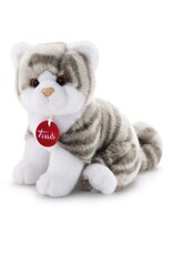 Trudi Trudi Kitten Brad