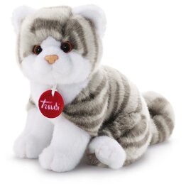 Trudi Trudi Kitten Brad