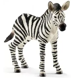 Schleich Zebra Veulen (Schleich 14811)