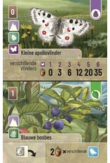 Forest Shuffle Alpine